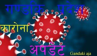 नवलपुरका ५ जना सहित गण्डकी प्रदेशमा थप १२४ जनामा कोरोना संक्रमण