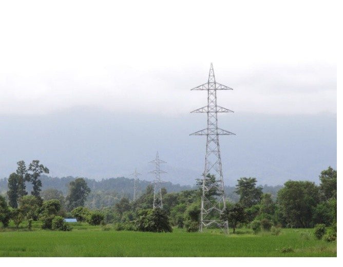 होङसी सिमेन्ट उद्योगका लागि विद्युत पुर्याउन भन्दै ५६ सय रुख काटिदै