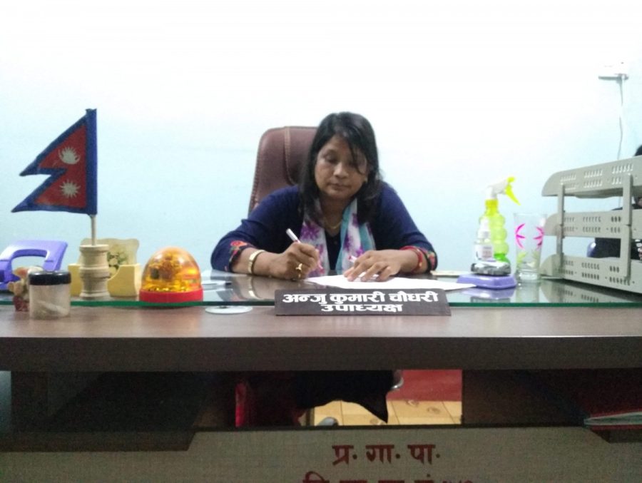 पालिका भित्रका  सम्पुर्ण समस्या समाधान गर्न अाफु लागि परेको छु  : कार्यवाहक अध्यक्ष चाैधरी